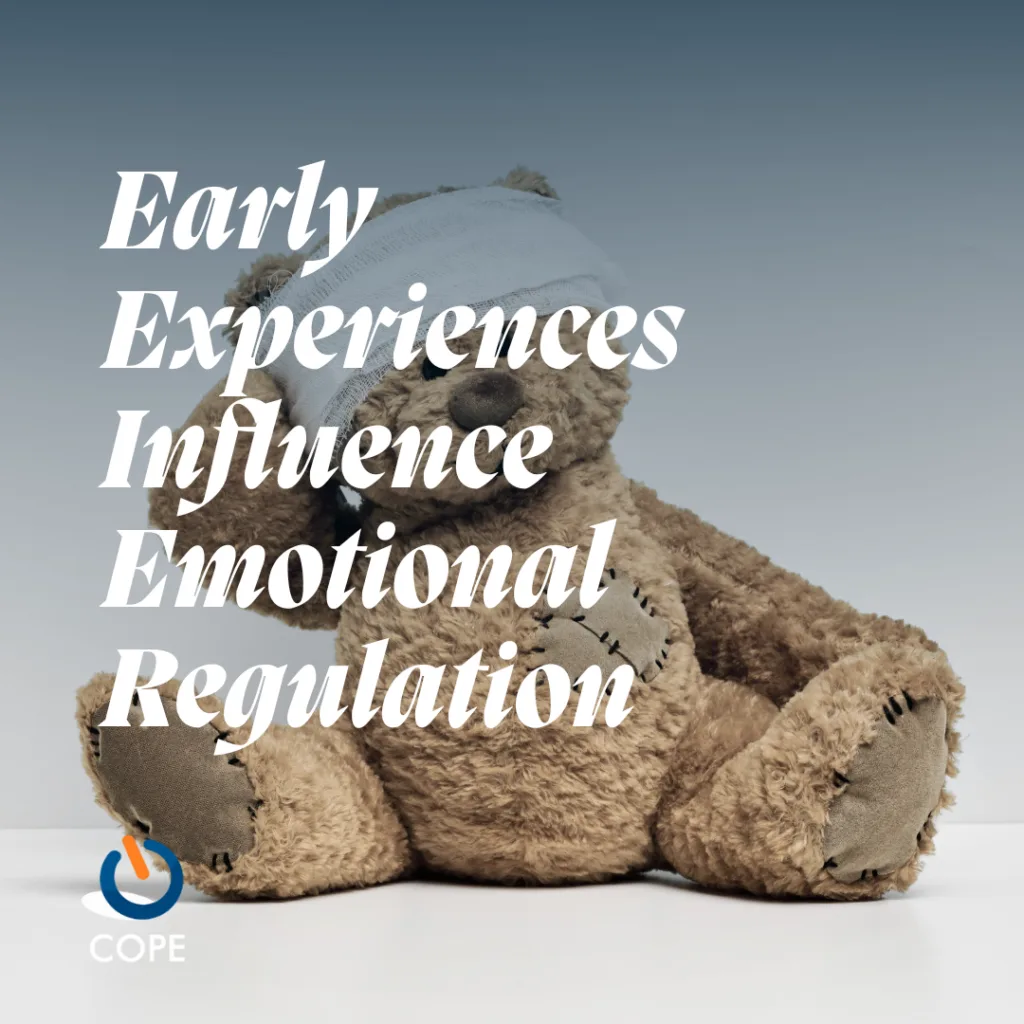Early Experiences Influence Emotional Regulation