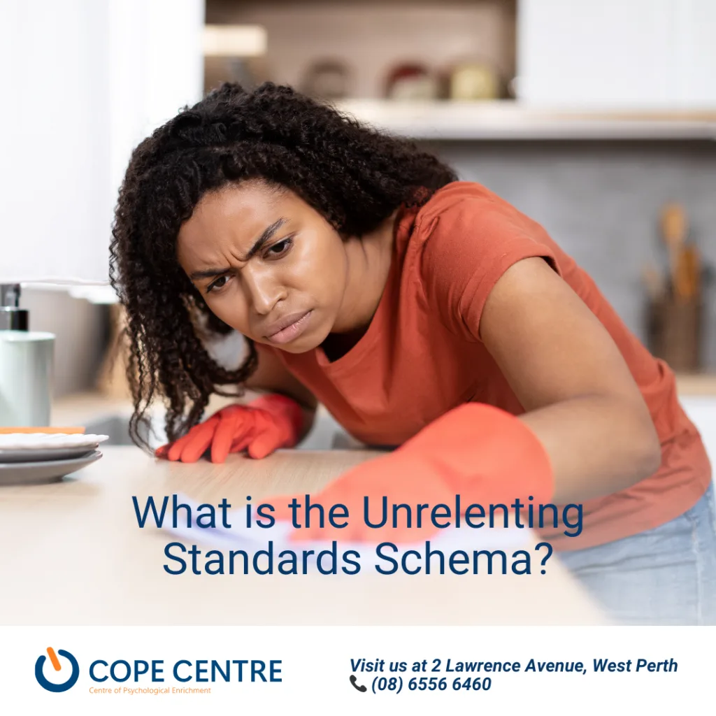 What is the Unrelenting Standards Schema?